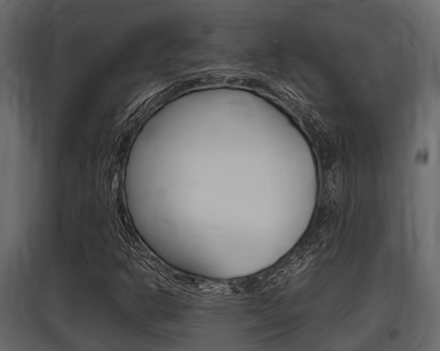 X0000097801302200803140727