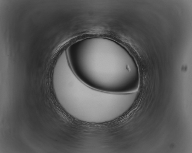 X0000097801304200803140727