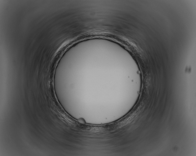 X0000097801306200803140727
