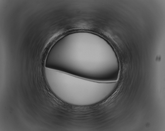 X0000097801307200803140727