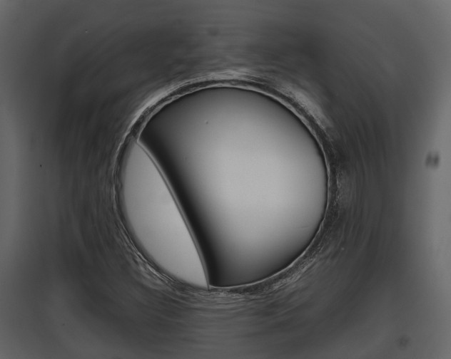 X0000097801308200803140727