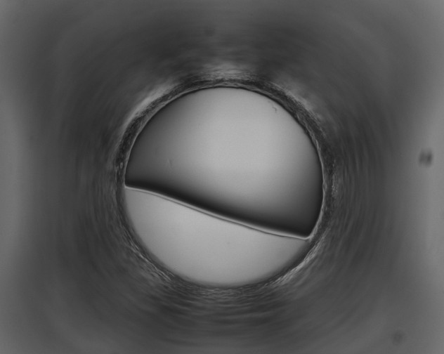 X0000097801309200803140727
