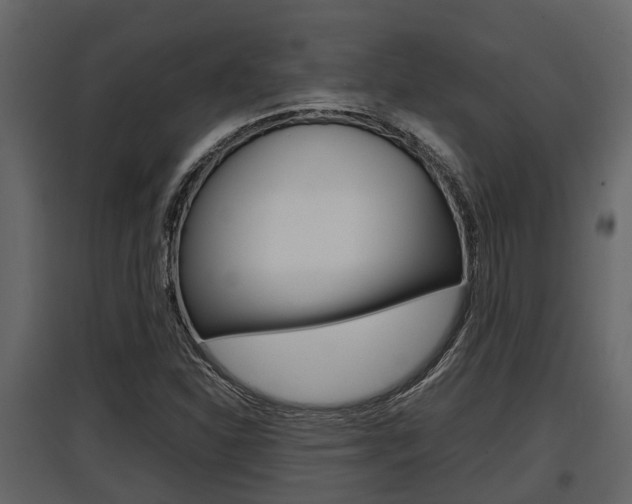 X0000097801310200803140727