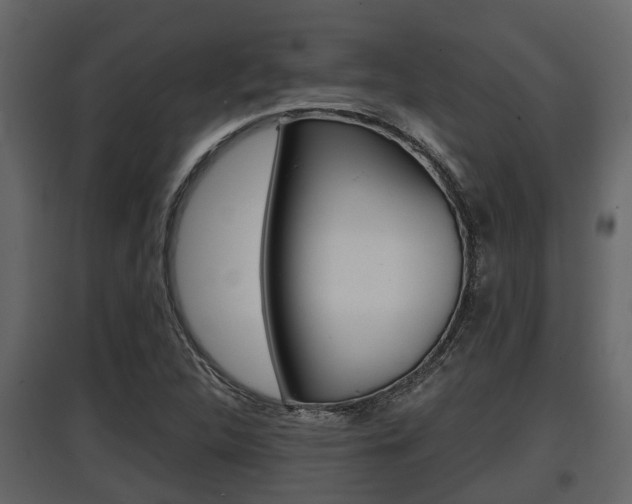 X0000097801312200803140727