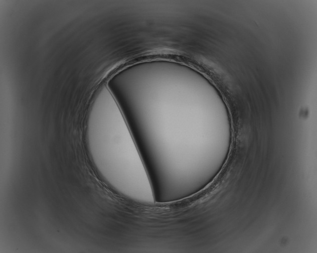 X0000097801313200803140727
