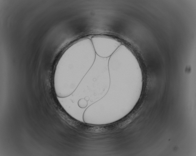 X0000097801314200803140727