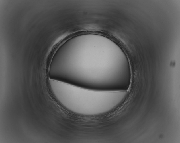X0000097801315200803140727