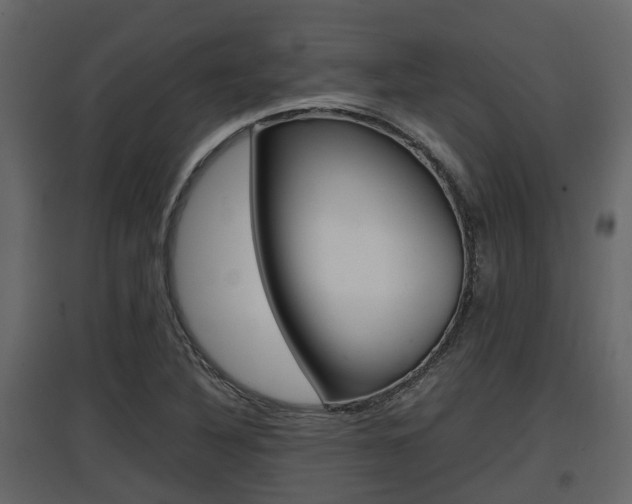 X0000097801316200803140727