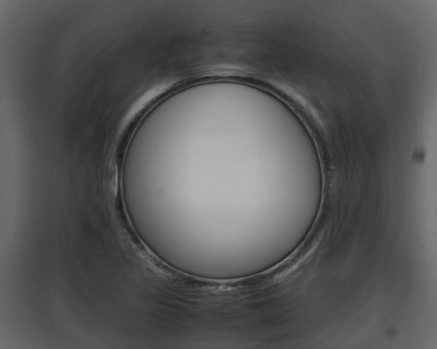 X0000097801317200803140727