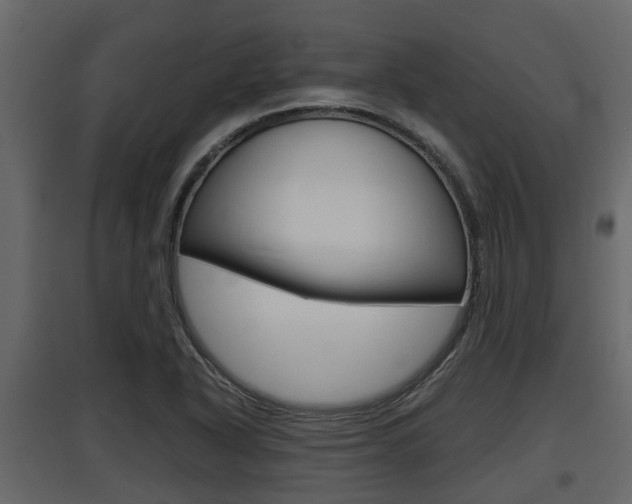 X0000097801318200803140727