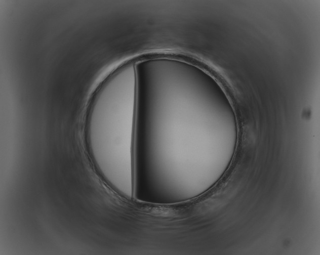 X0000097801319200803140727