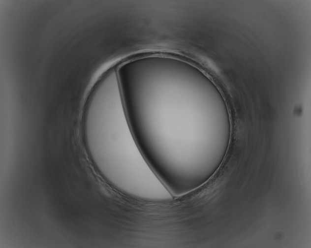 X0000097801320200803140727