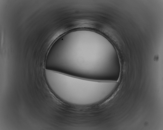 X0000097801321200803140727