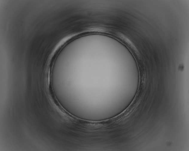 X0000097801323200803140727