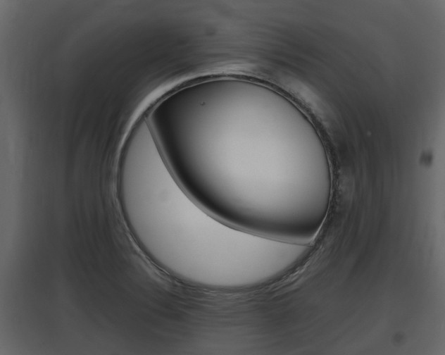 X0000097801324200803140727