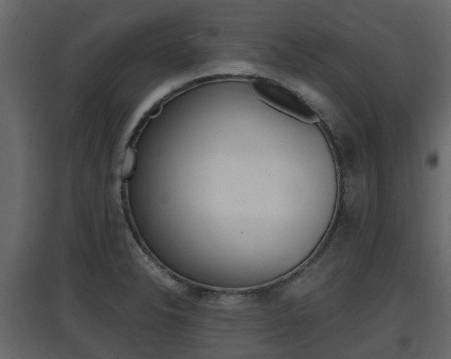 X0000097801326200803140727