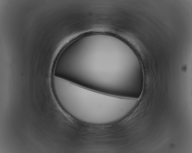 X0000097801327200803140727