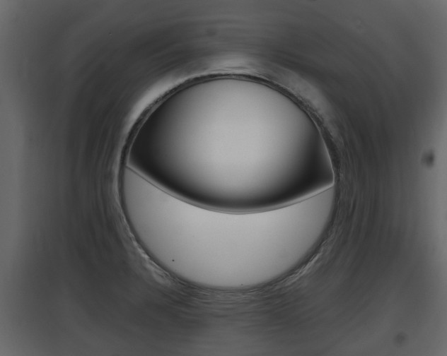 X0000097801328200803140727