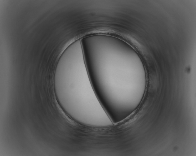 X0000097801329200803140727