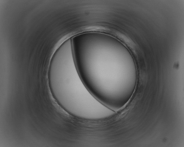 X0000097801330200803140727