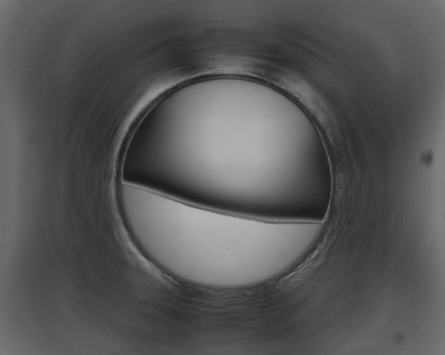X0000097801331200803140727