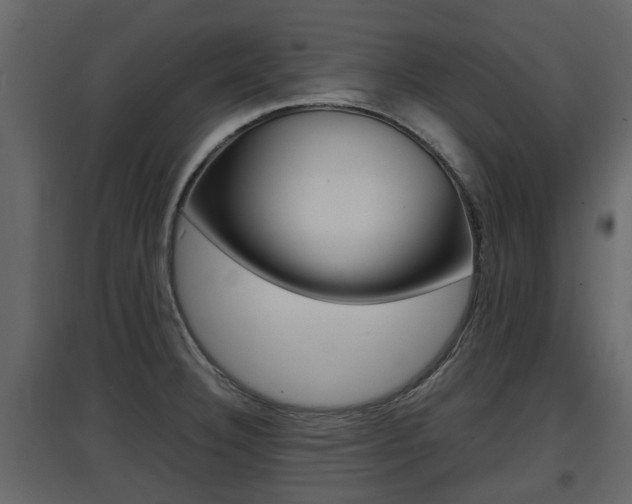 X0000097801332200803140727