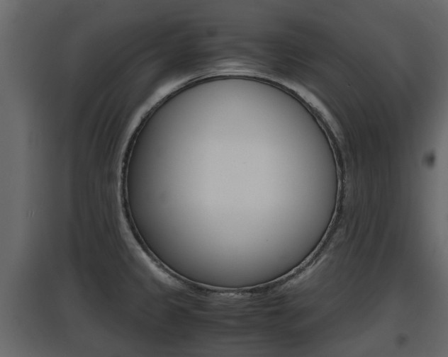 X0000097801333200803140727