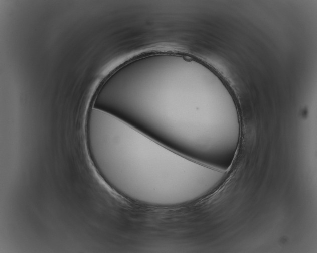 X0000097801335200803140727