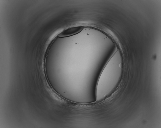 X0000097801336200803140727