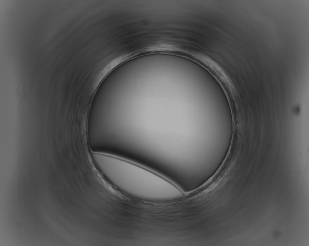X0000097801337200803140727