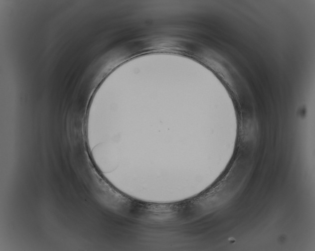 X0000097801338200803140728