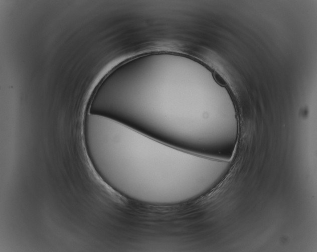 X0000097801339200803140728