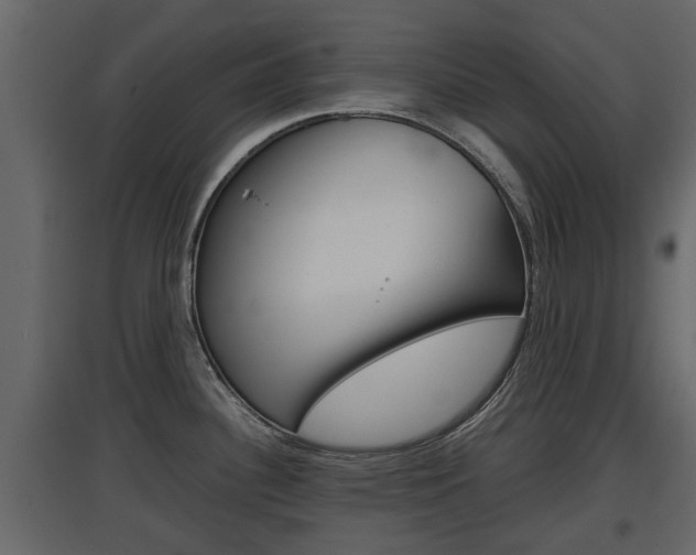 X0000097801340200803140728