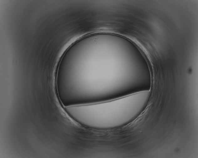X0000097801341200803140728