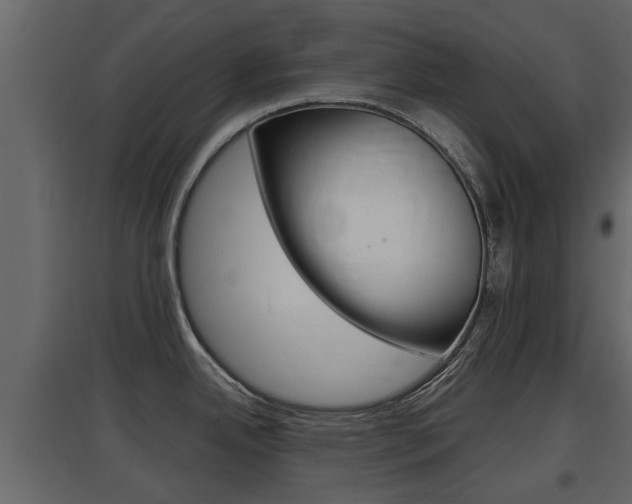 X0000097801342200803140728