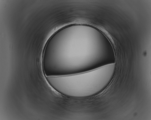 X0000097801343200803140728