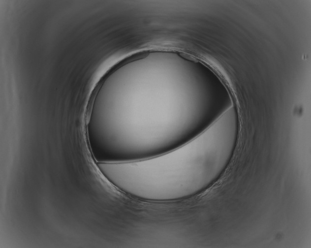 X0000097801344200803140728