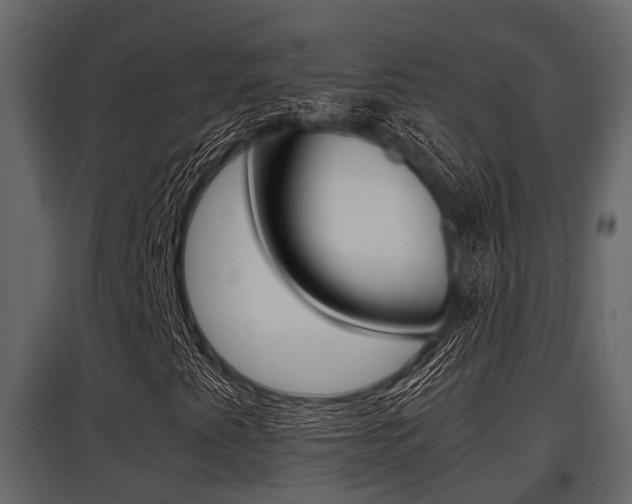 X0000097801345200803140727
