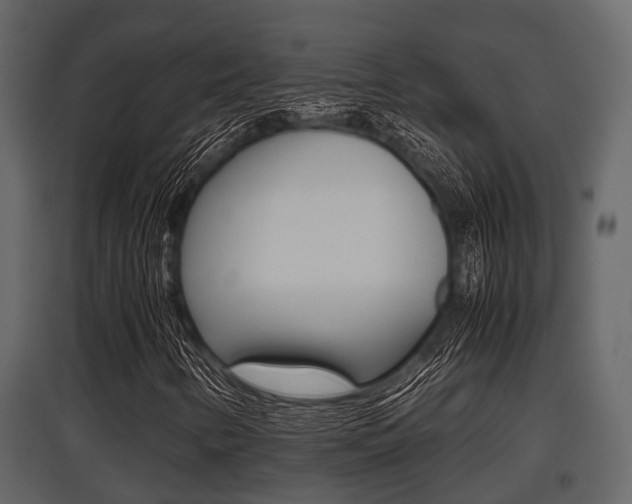 X0000097801346200803140727