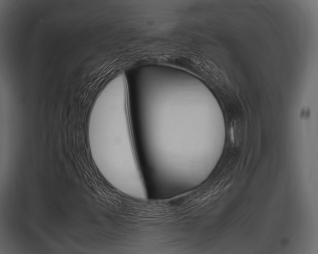 X0000097801347200803140727