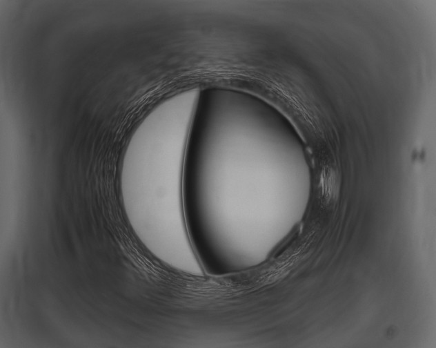 X0000097801348200803140727