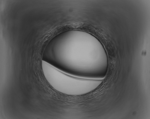 X0000097801349200803140727