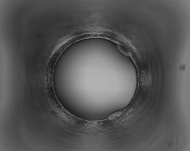 X0000097801352200803140727