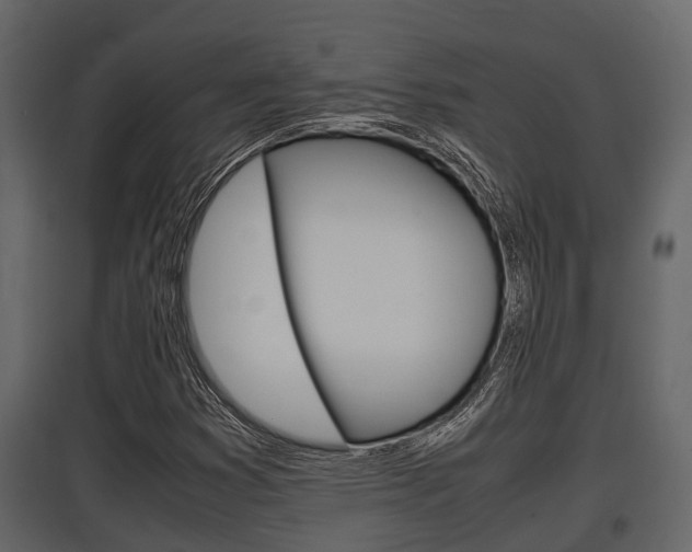 X0000097801353200803140727