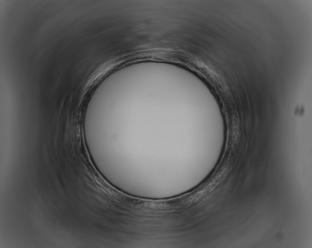 X0000097801354200803140727