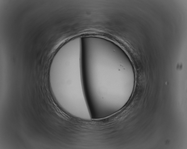 X0000097801355200803140727