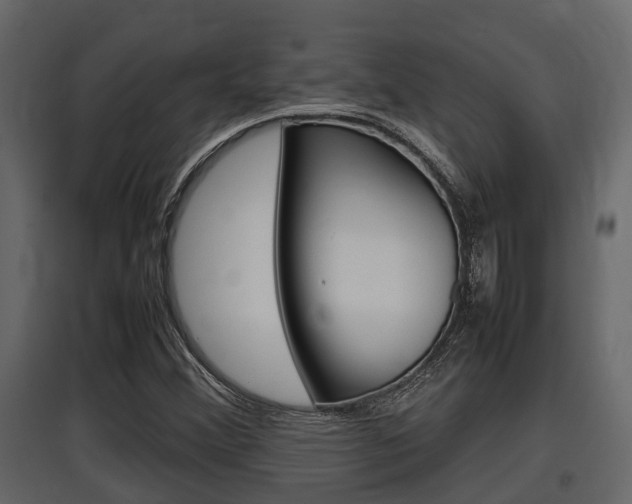 X0000097801356200803140727