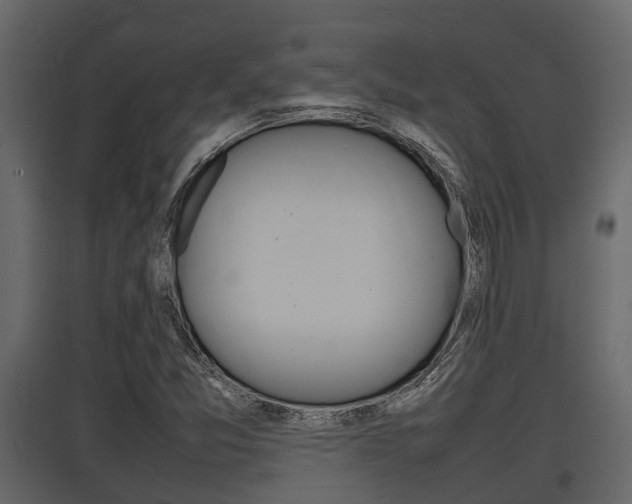 X0000097801357200803140727