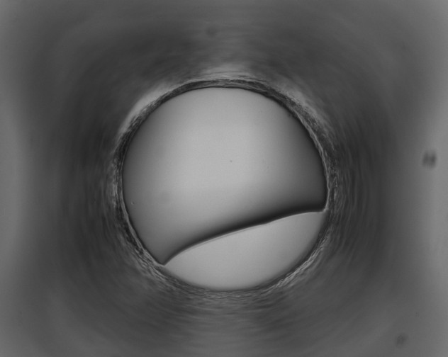 X0000097801358200803140727