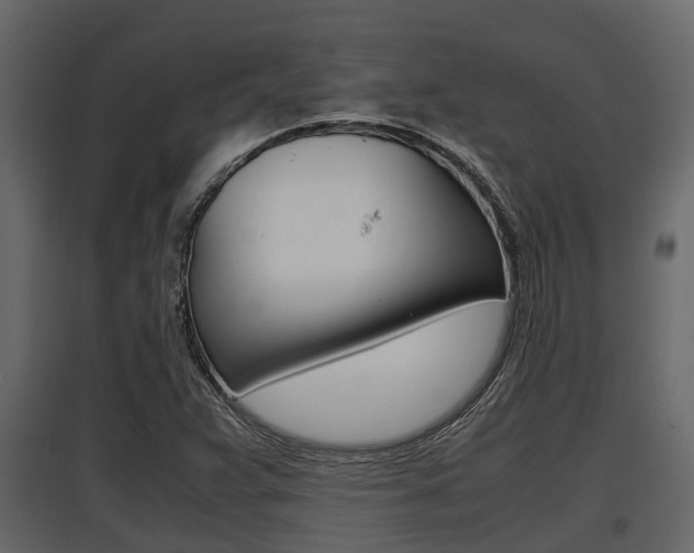 X0000097801359200803140727